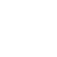 Focus on Long-Term Wellness